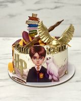 Детский торт «Гарри Поттер с совой»