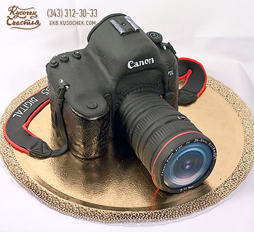 Праздничный торт «Фотоаппарат»